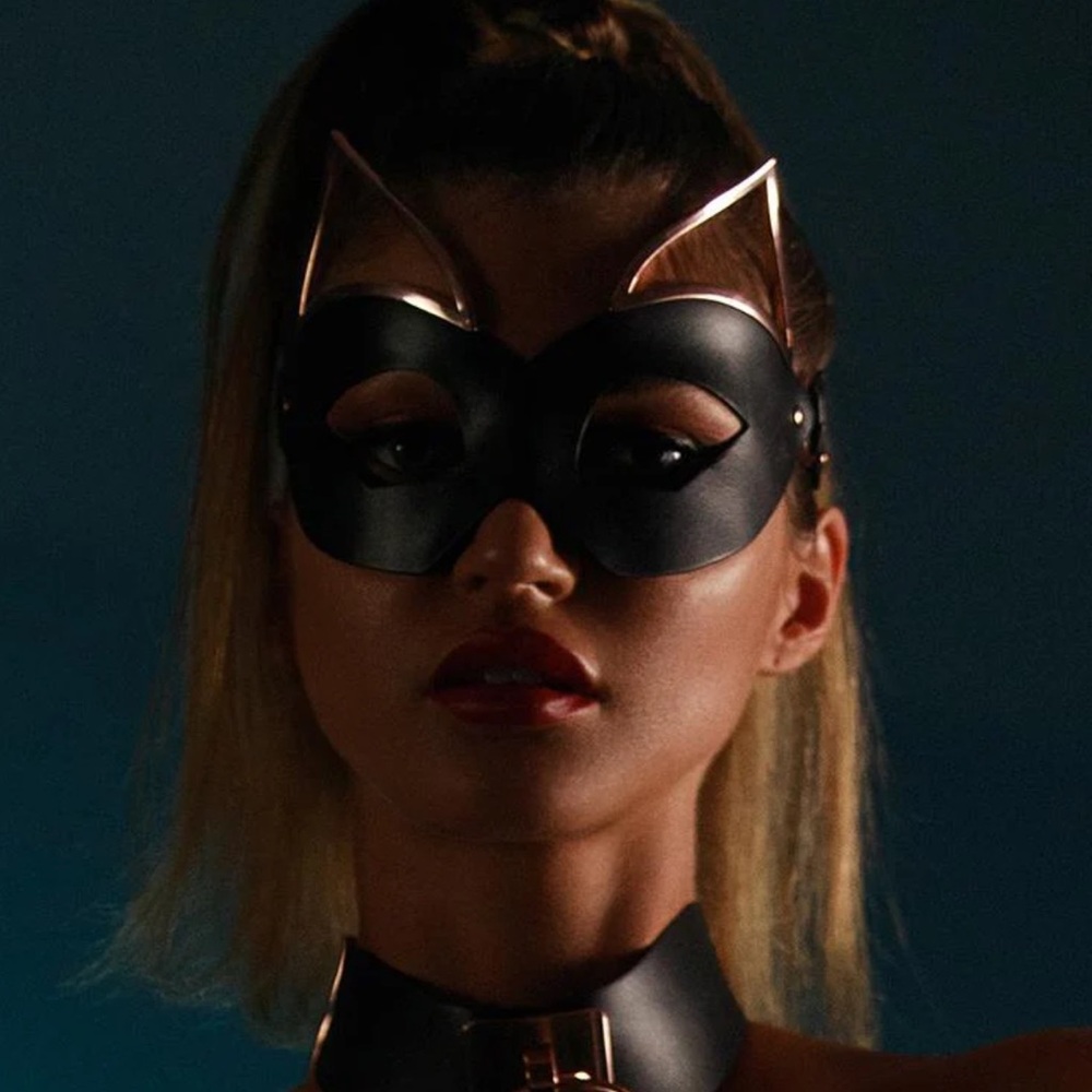 Brand new never used mask - Picture 2 of 4